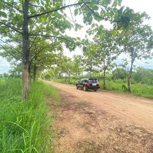 Ou Krieng, Sambour, Kratie
