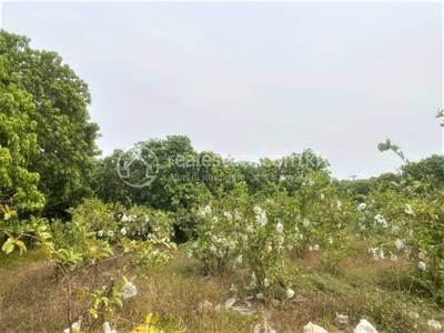 Khpob, S'ang, Kandal