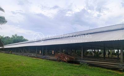 មនោរម្យ, ថ្ពង, កំពង់ស្ពឺ