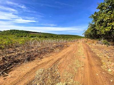Kampong Damrei, Chhloung, Kratie