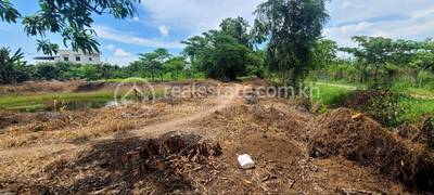 Boeung Pring, Thma Koul, Battambang