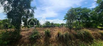 Boeung Pring, Thma Koul, Battambang