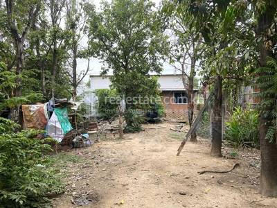 ដើមឬស, កណ្តាលស្ទឹង, កណ្ដាល