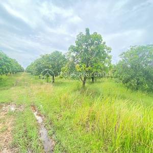 Ou Krieng, Sambour, Kratie