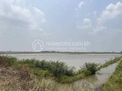 ស្នោ, ព្រៃកប្បាស, តាកែវ
