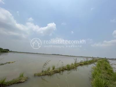 ស្នោ, ព្រៃកប្បាស, តាកែវ