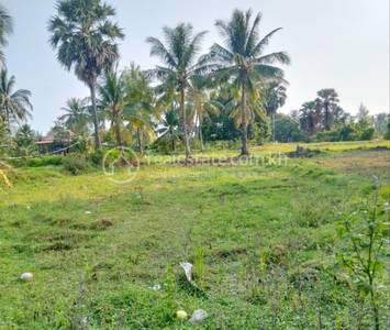   , កូនសត្វ, ទឹកឈូ, កំពត
