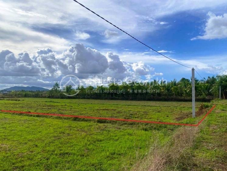 Dan Koum, Angkor Chey, Kampot