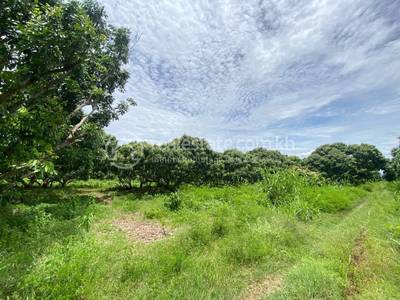 Traeng, Rotonak Mondol, Battambang
