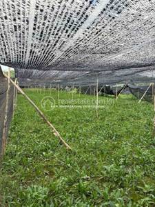 residential Land/Development1 for sale2 ក្នុង Phum Thum3 ID 2515564
