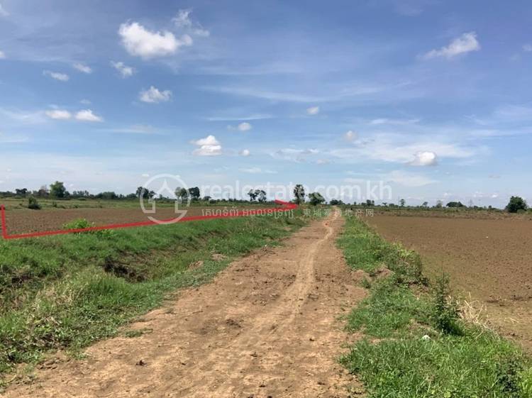 Chamnaom, Mongkol Borey, Banteay Meanchey
