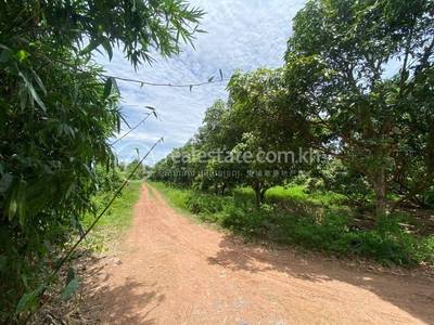 Traeng, Rotonak Mondol, Battambang