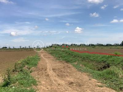 Chamnaom, Mongkol Borey, Banteay Meanchey