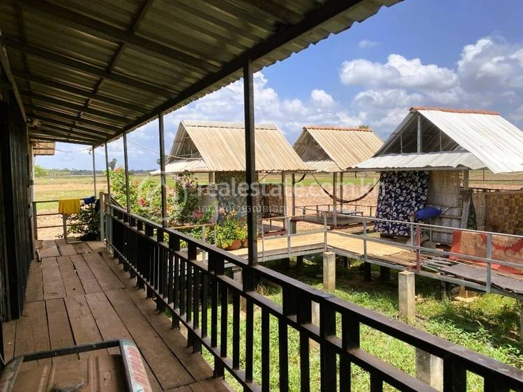 Dan Koum, Angkor Chey, Kampot