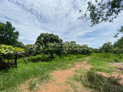 Traeng, Rotonak Mondol, Battambang