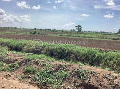Chamnaom, Mongkol Borey, Banteay Meanchey