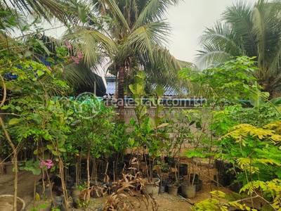 L'ang, Dang Tong, Kampot
