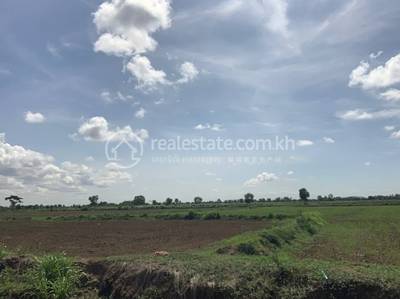 Chamnaom, Mongkol Borey, Banteay Meanchey