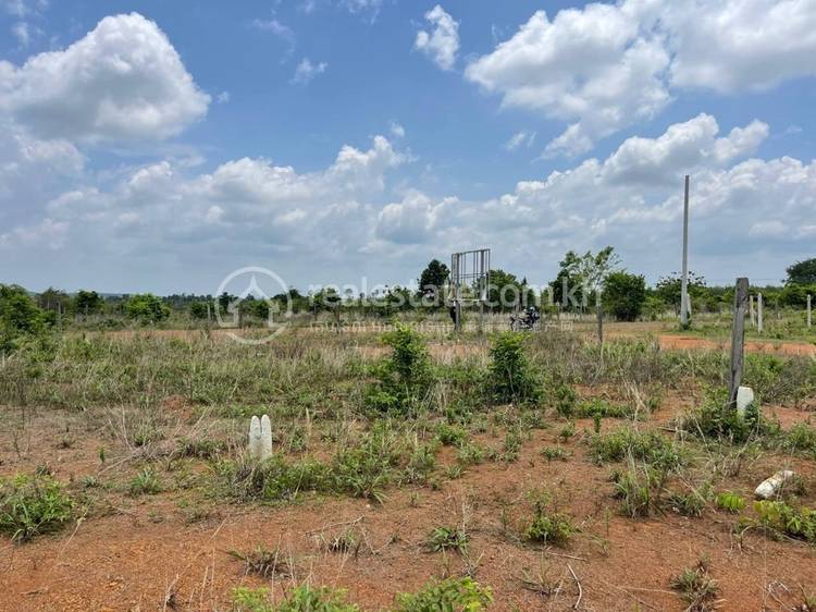 ស្រឡប់, ត្បូងឃ្មុំ, ត្បូងឃ្មុំ