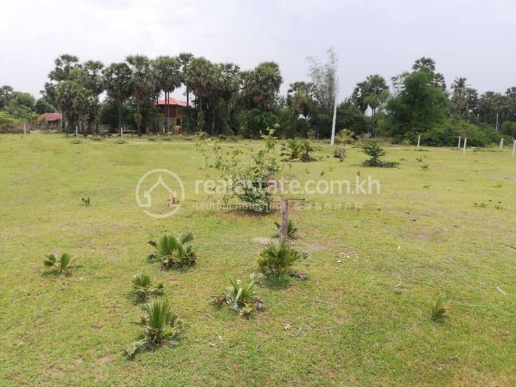 Cheung Roas, Odongk, Kampong Speu