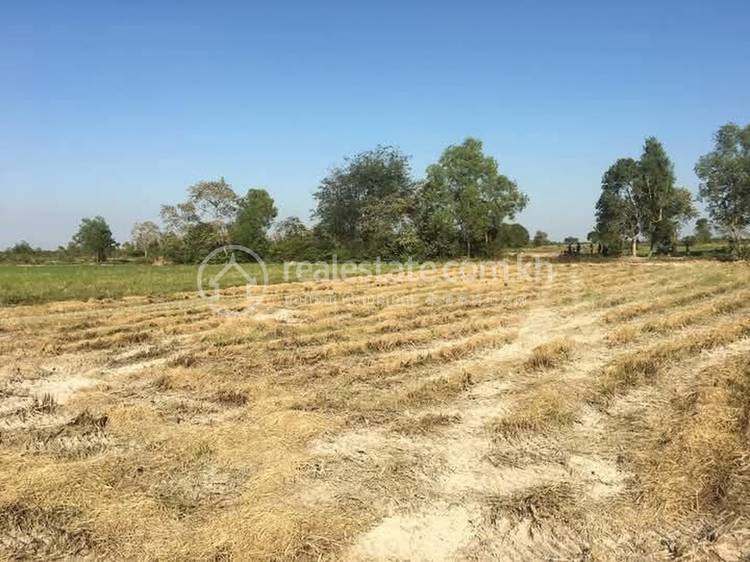 Ta Khmao, Ta Khmau, Kandal