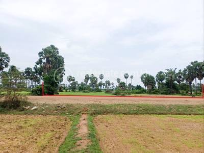1 - Copy.jpg