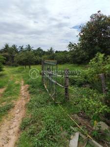 Prasnoeb, Rolea B'ier, Kampong Chhnang