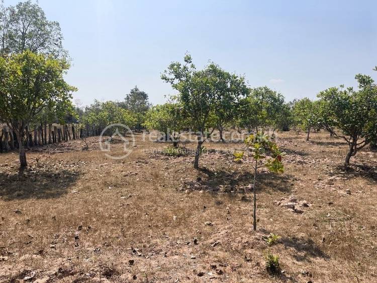ស្រែសំបូរ, សៀមប៉ាង, ស្ទឹងត្រែង