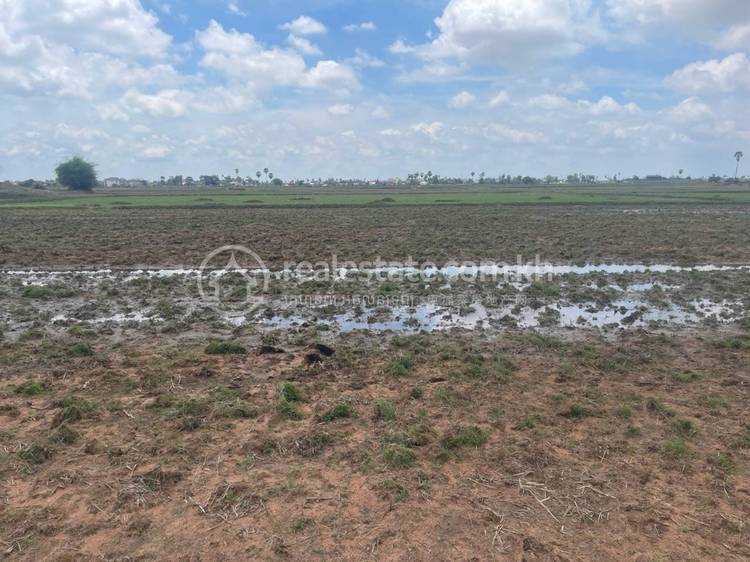 ទួលព្រេច, អង្គស្នួល, កណ្ដាល