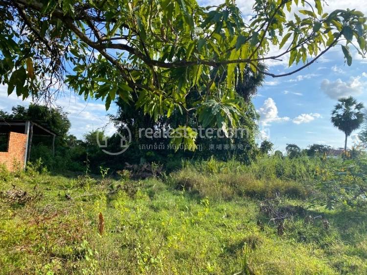 ជ្រៃបាក់, រលាប្អៀរ, កំពង់ឆ្នាំង