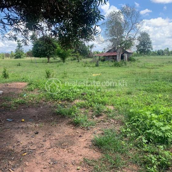 Trapeang Phleang, Chhuk, Kampot