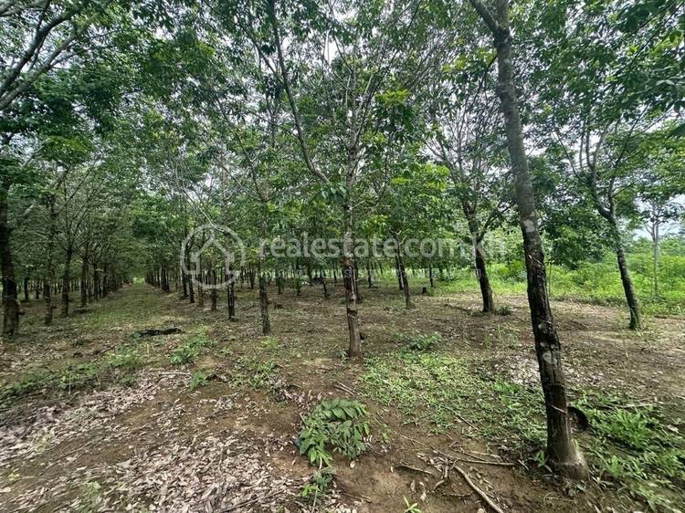 ស្រែចារ, ស្នួល, ក្រចេះ