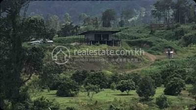 residential Land/Development for sale in Anlong Reab ID 252620