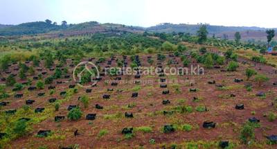 Agricultural/Farm Land