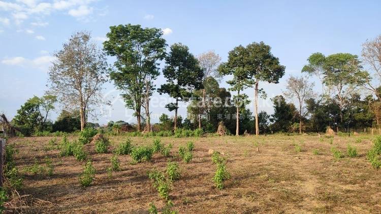        , Veun Sai, Veun Sai, Ratanakiri