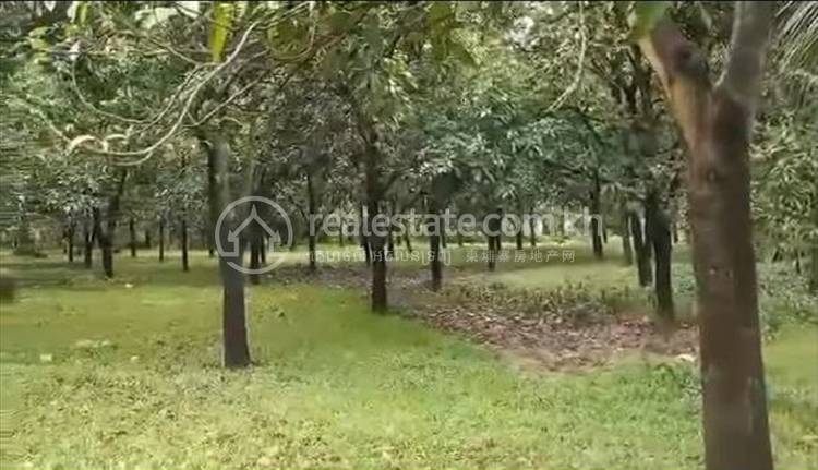 Roka Kong I, Mukh Kampul, Kandal