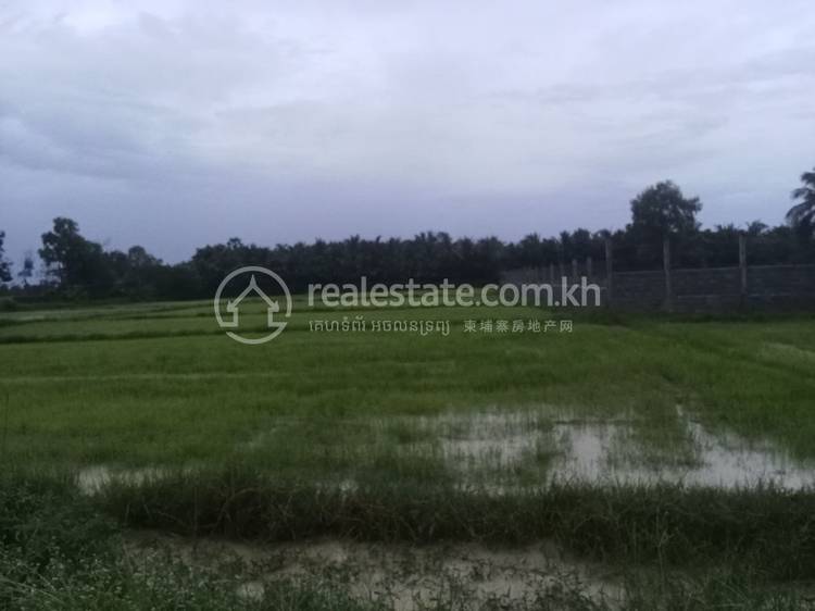 residential Land/Development for sale in Angk Ta Saom ID 253212 1