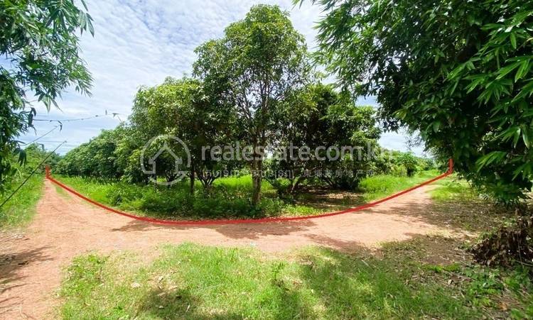 Traeng, Rotonak Mondol, Battambang