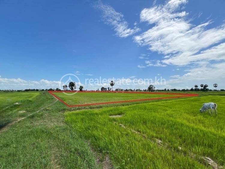 Sdok, Kong Pisei, Kampong Speu