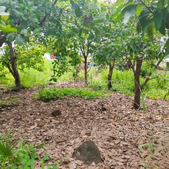 Bos Khnor, Chamkar Leu, Kampong Cham