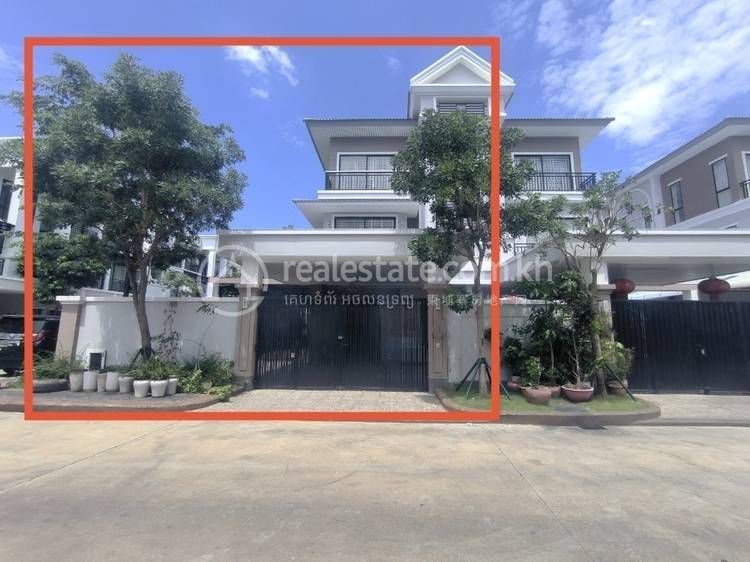 Borey Peng Huoth: The Star Platinum Eco Delta
