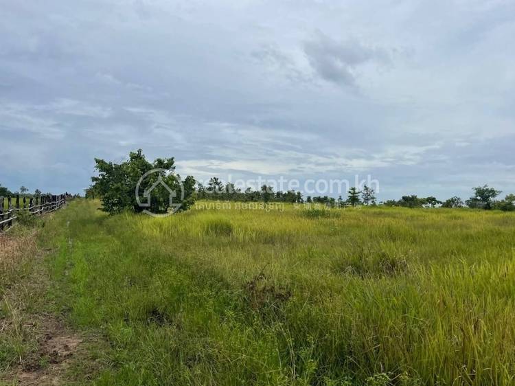 Roluos Mean Chey, Sambour, Kratie