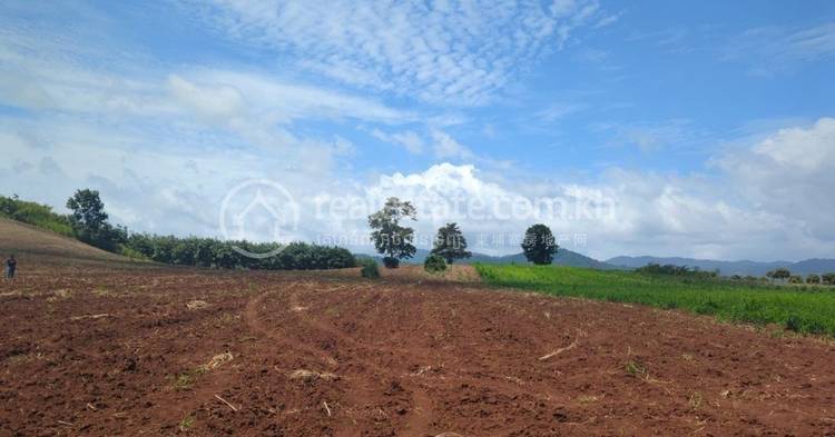 Bar Yakha, Pailin, Pailin