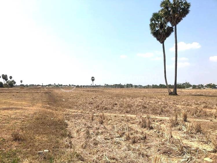     , Phsar Daek, Ponhea Lueu, Kandal