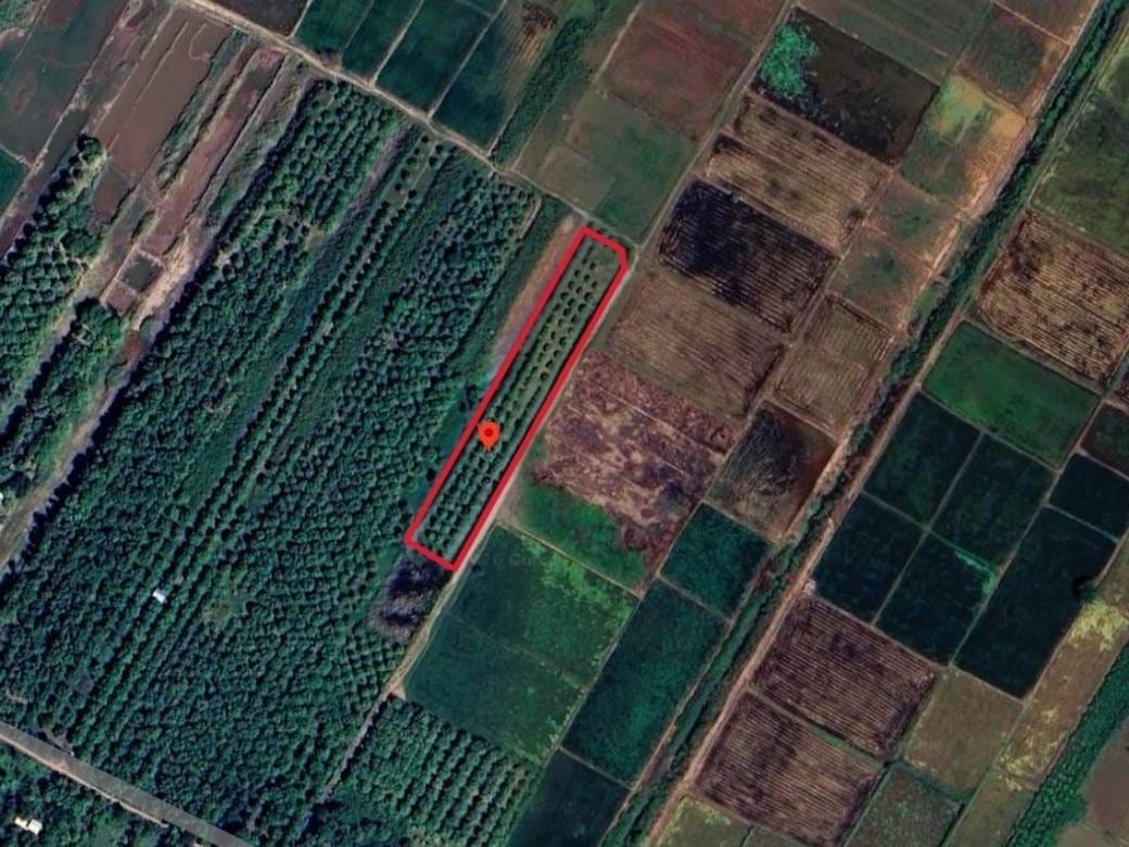 3,624 sqm Land Size Pozemky Na prodej