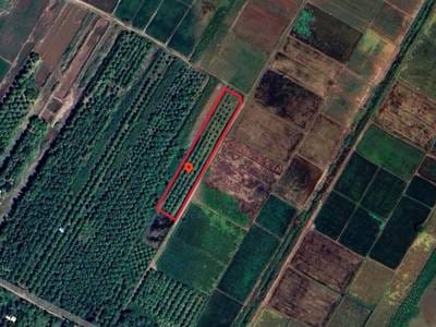 3,624 sqm Land Size Pozemky Na prodej