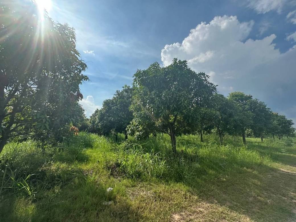 Pozemky Na prodej in Peam Oknha Ong, Lvea Aem, Kandal