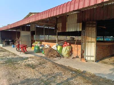 240 sqm Living Size House and lot Na prodej in Pursat