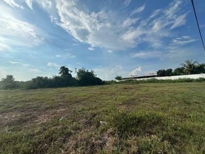 3,554 sqm Land Size Pozemky Na prodej