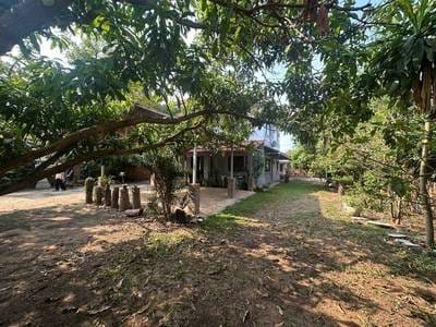 800平方米土地面积的House and lot出租